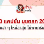 แคปชั่น มุขตลก 2025
